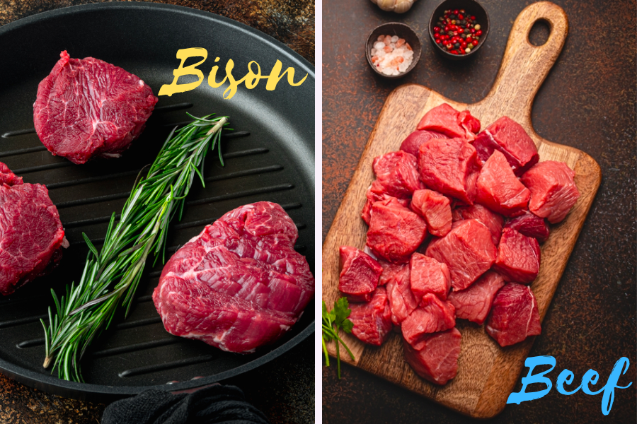 Bison Vs Beef: The Emotional Battle For A Healthier Heart