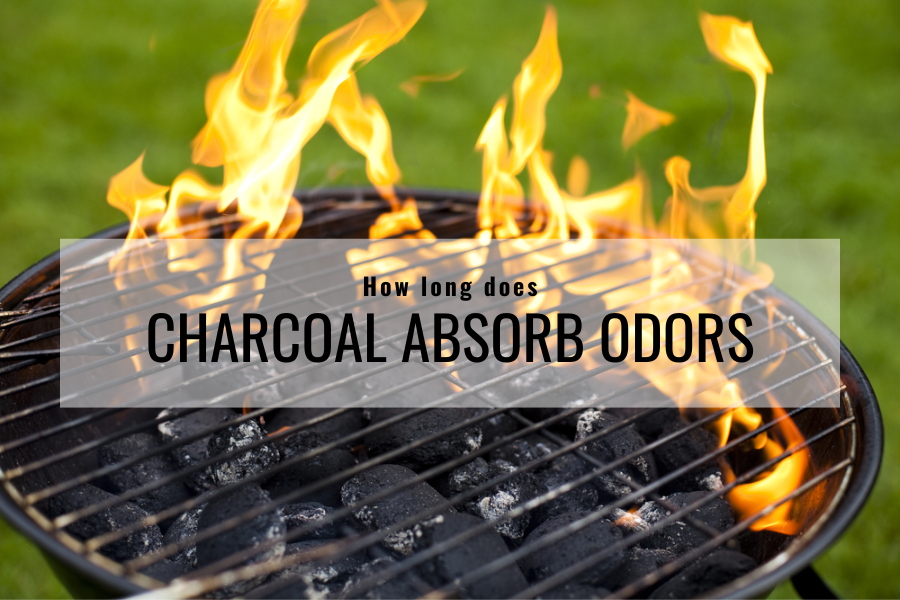 How Long Does Charcoal Absorb Odors? A MustKnow For Grill Enthusiasts