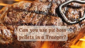 Can you use Pit Boss pellets in a Traeger?
