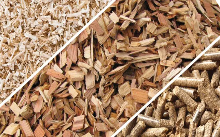 Explore the variety of wood pellets
