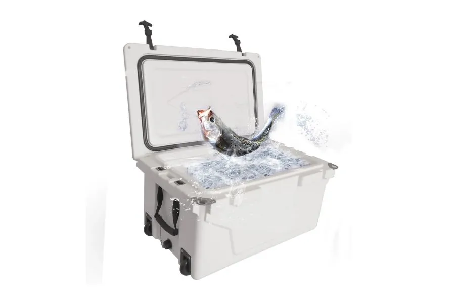 Coolers for Fishing